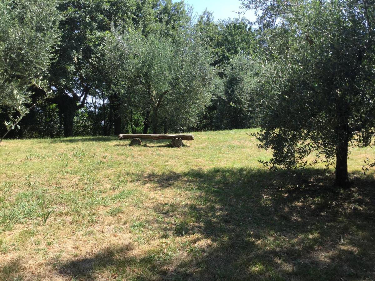 B&B Corte Sant'Angelo Passirano Екстериор снимка